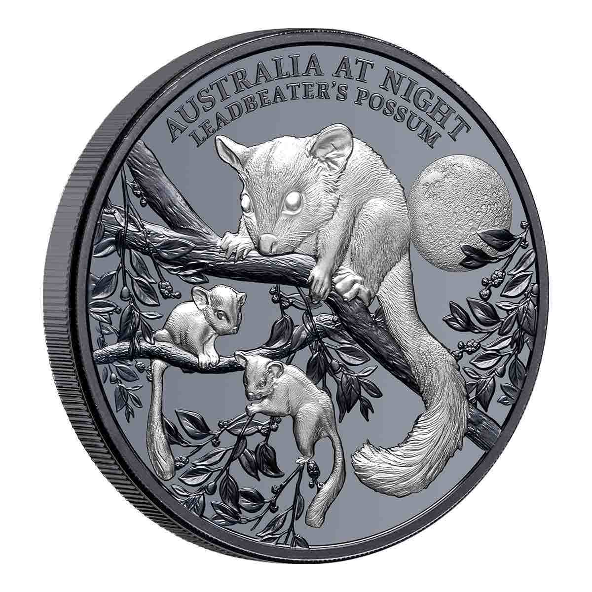 Leadbeater's Possum Australia at Night 2022 $1 1oz Silver Black Proof Coin
