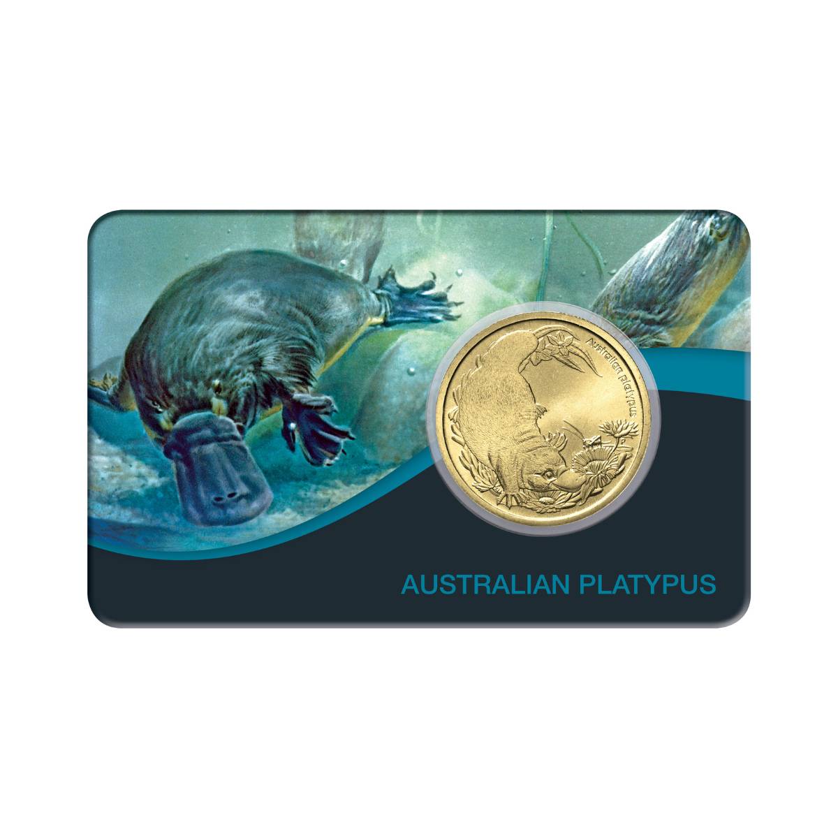 Platypus Bush Baby 2013 $1 Al-Br Coin Pack