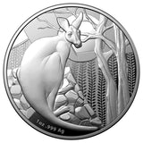 Kangaroo 2022 $1 1oz Silver Proof Coin