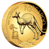 Australian Kangaroo 2024 $100 High Relief 1oz Gold Proof Coin