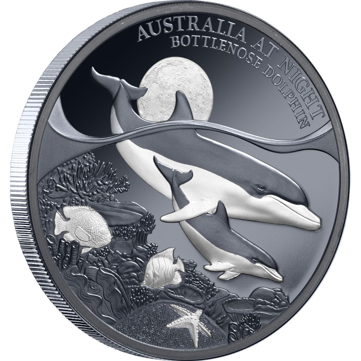 Australia at Night Bottlenose Dolphin 2025 $1 1oz Silver Black Proof Coin