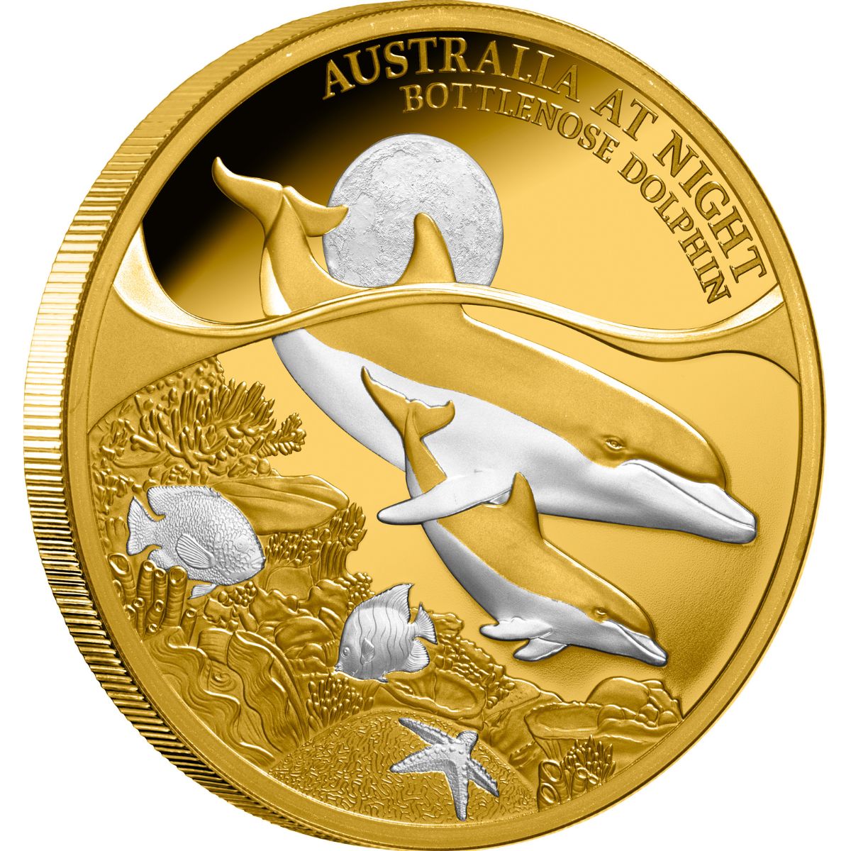 Australia at Night Bottlenose Dolphin 2025 $100 Platinum-plated 1oz Gold Proof Coin