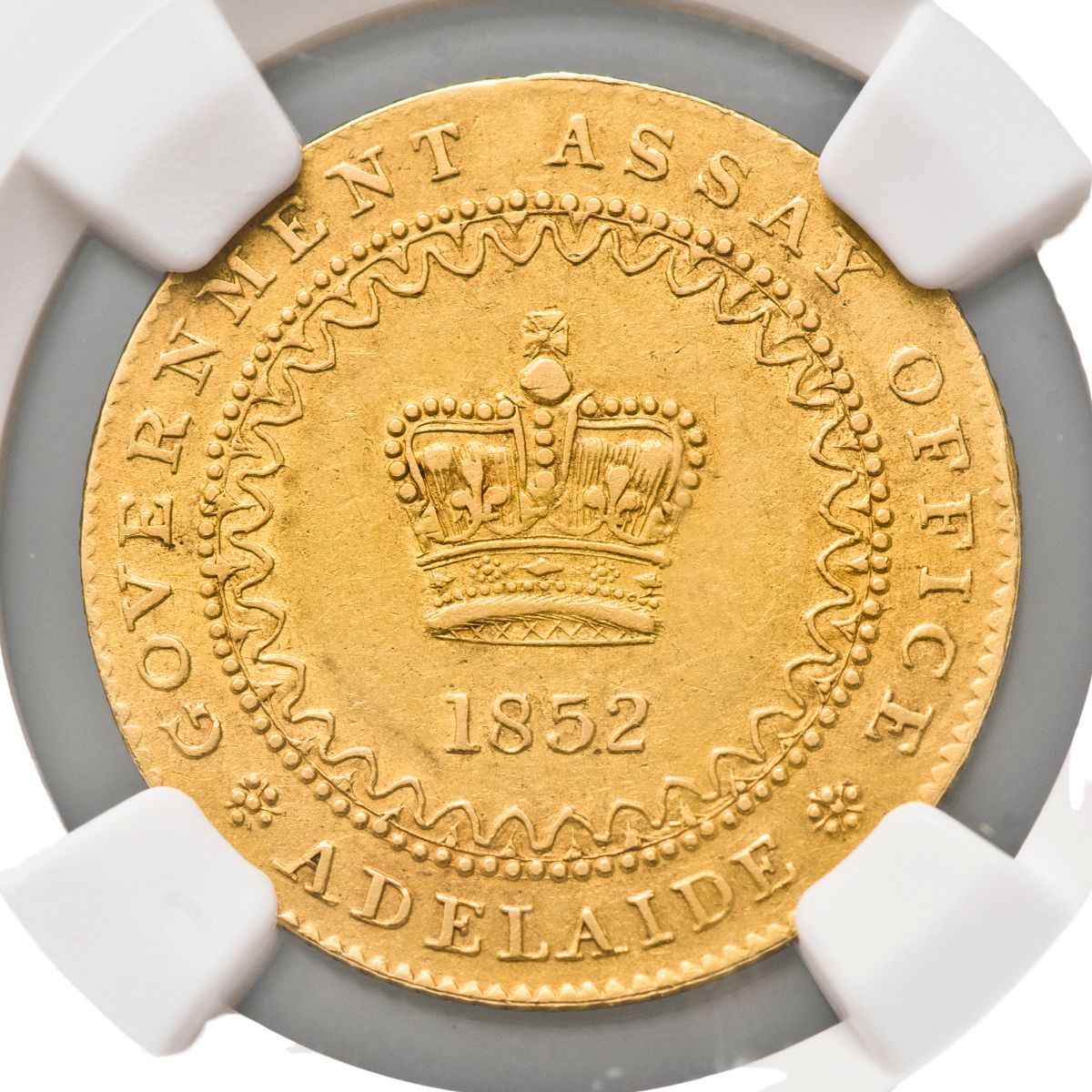 1852 Adelaide Pound Type II NGC AU55