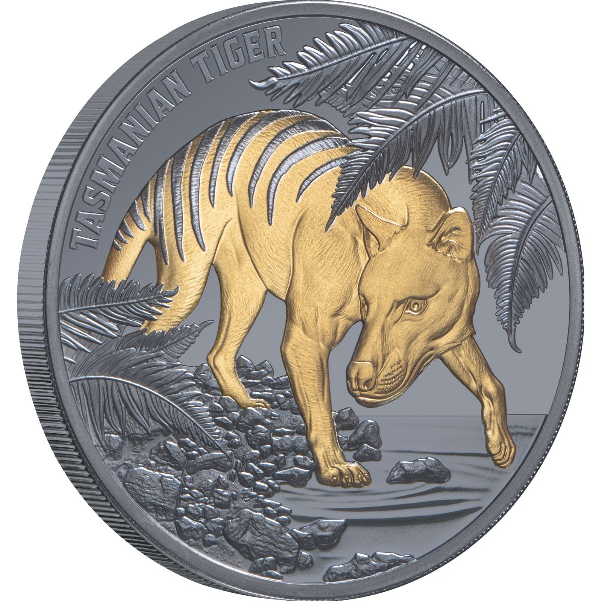 Tasmanian Tiger 2026 $1 Gold-plated 1oz Silver Black Proof Coin