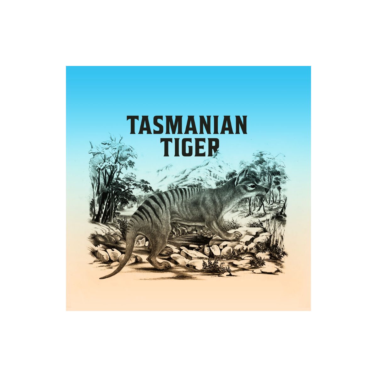 Tasmanian Tiger 2026 $1 Gold-plated 1oz Silver Black Proof Coin