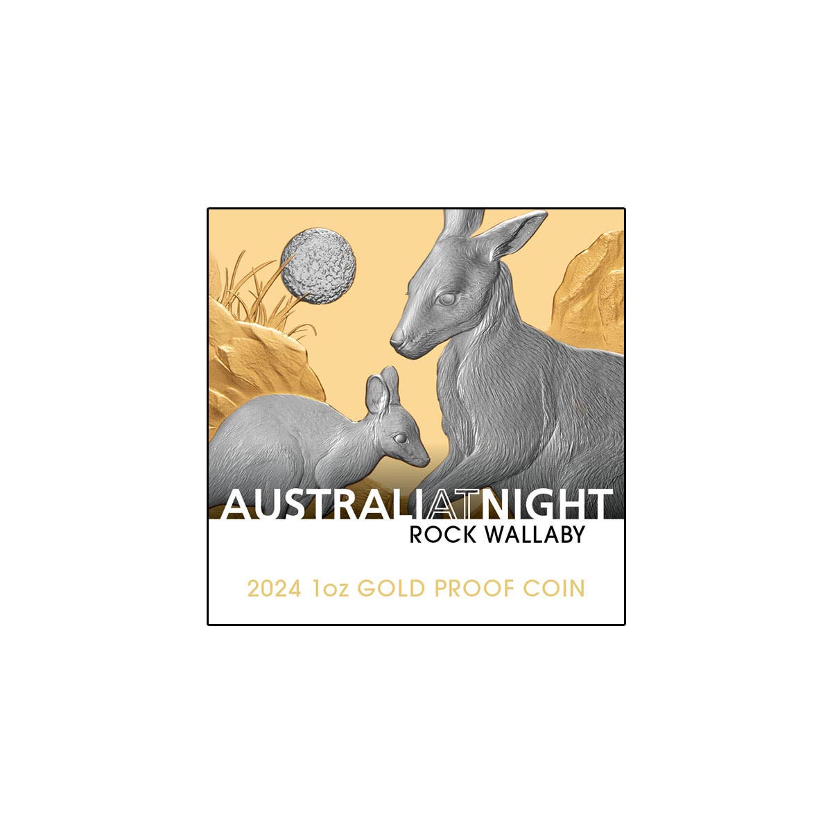 Australia at Night 2024 $100 Rock Wallaby Platinum-plated 1oz Gold Proof Coin