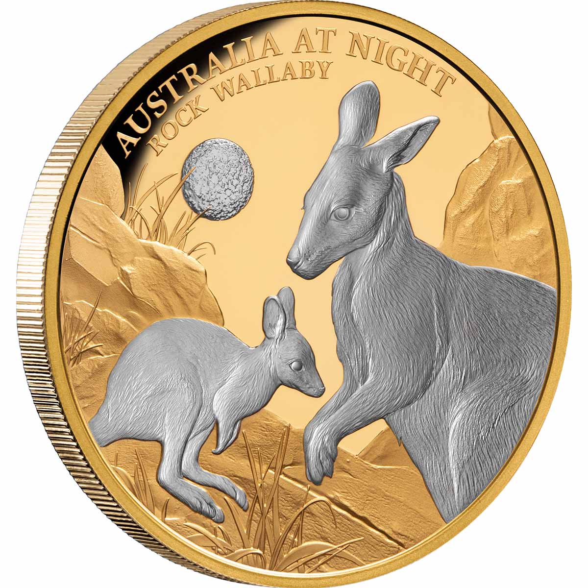 Australia at Night 2024 $100 Rock Wallaby Platinum-plated 1oz Gold Proof Coin