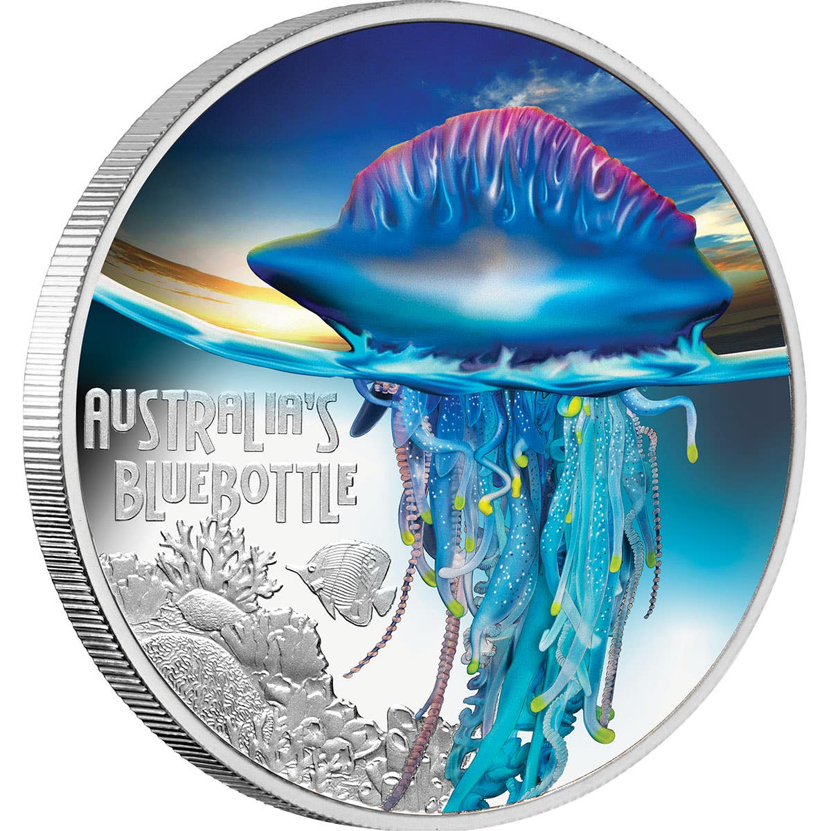 Deadly and Dangerous Bluebottle 2024 $1 1oz Silver Proof Coin