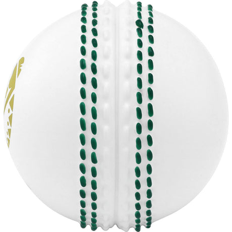 ICC Men'Cricket World Cup 2023 3D White Cricket Ball 1oz Silver Commemorative