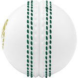ICC Men's Cricket World Cup 2023 3D White Cricket Ball 1oz Silver Commemorative