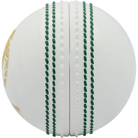 ICC Men'Cricket World Cup 2023 3D White Cricket Ball 250g Silver Commemorative
