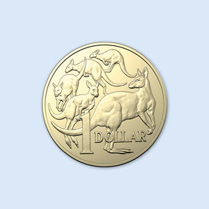1 Note/coin Buy $100 Notes Online | Downies Collectables