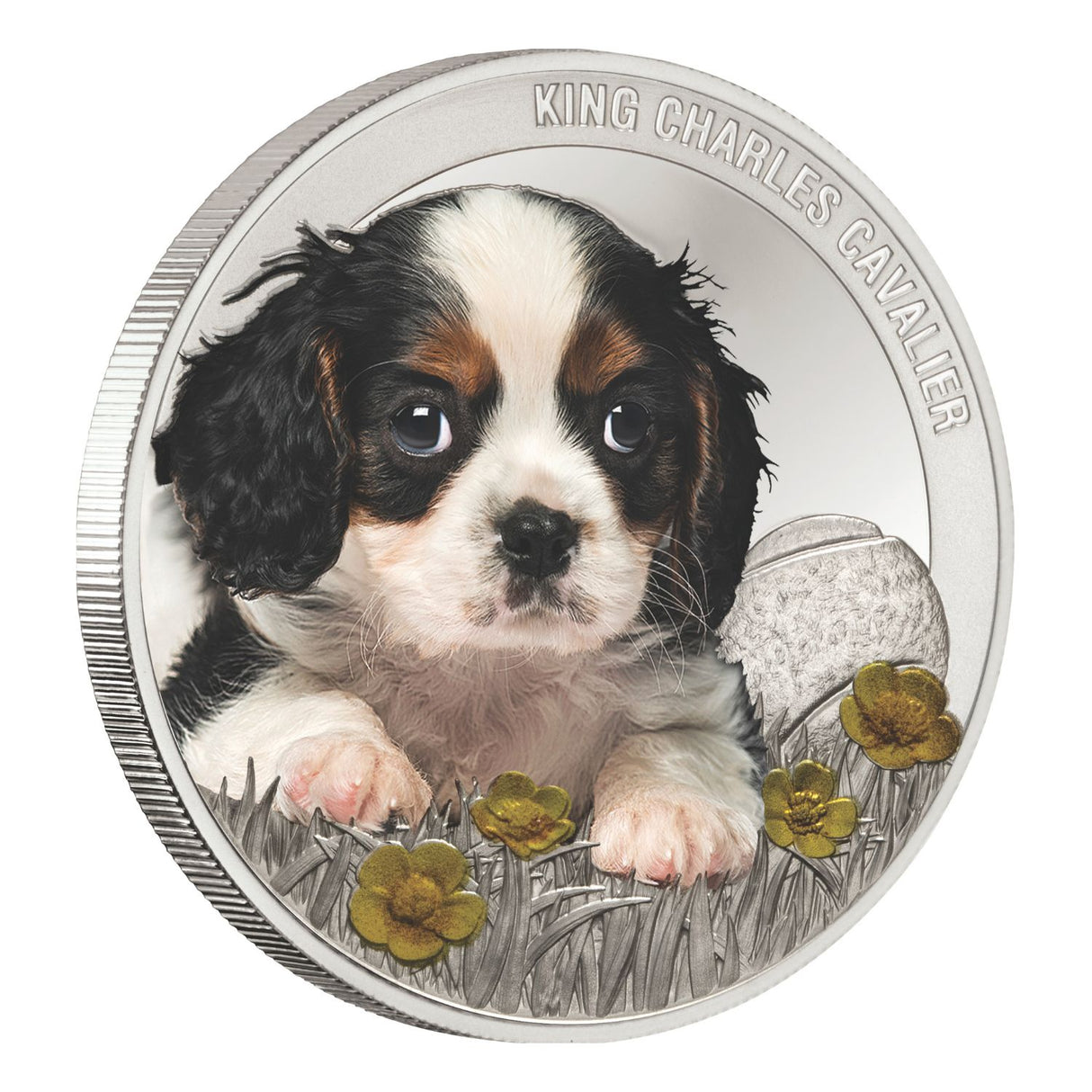 Cavalier Silver Prooflike Commemorative