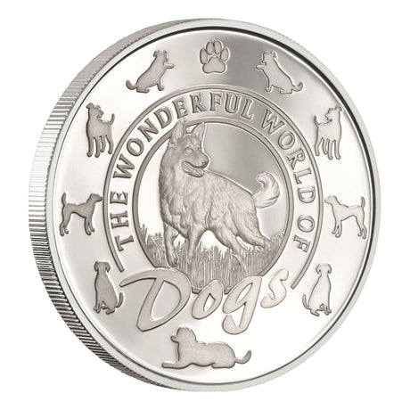 Cavalier Silver Prooflike Commemorative