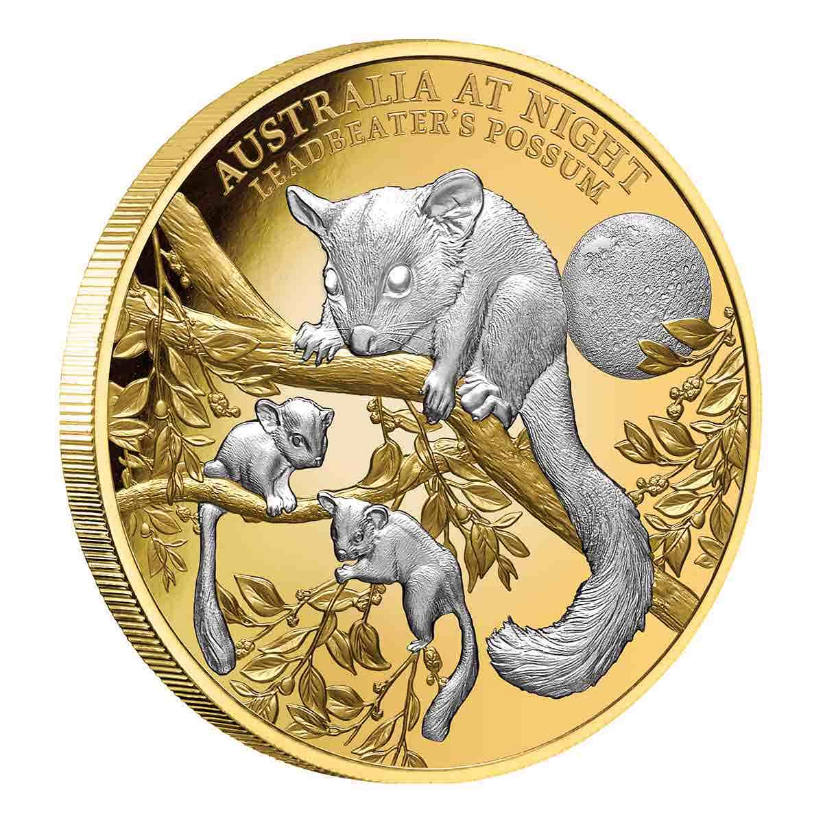 Australia at Night 2022 $100 Leadbeater's Possum Platinum-plated 1oz Gold Proof Coin