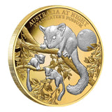 Australia at Night 2022 $100 Leadbeater's Possum Platinum-plated 1oz Gold Proof Coin
