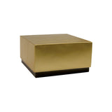 Australia at Night 2022 $100 Leadbeater's Possum Platinum-plated 1oz Gold Proof Coin