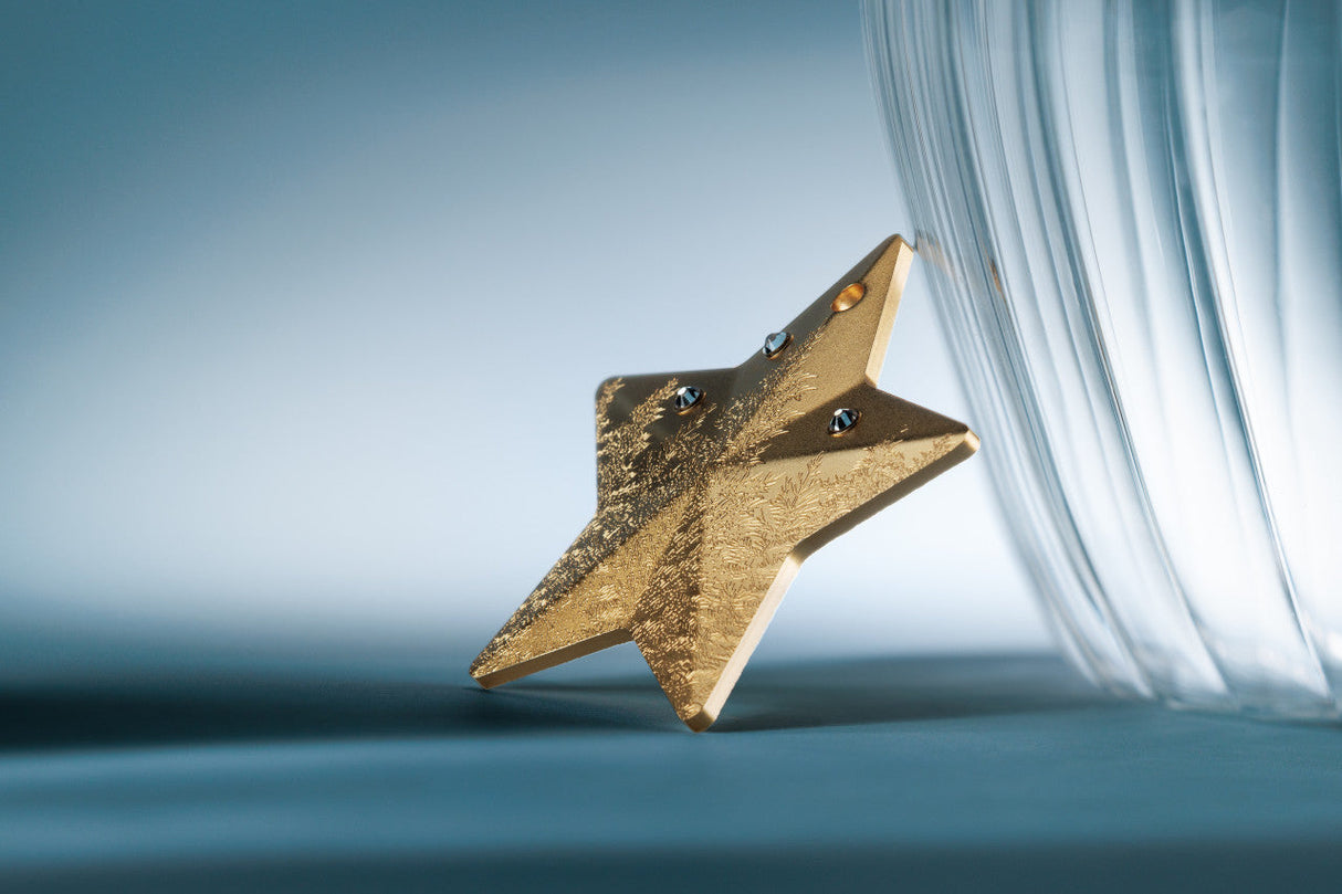 Winter Forest Star 2025 $5 Gold-plated 1oz Silver Coin