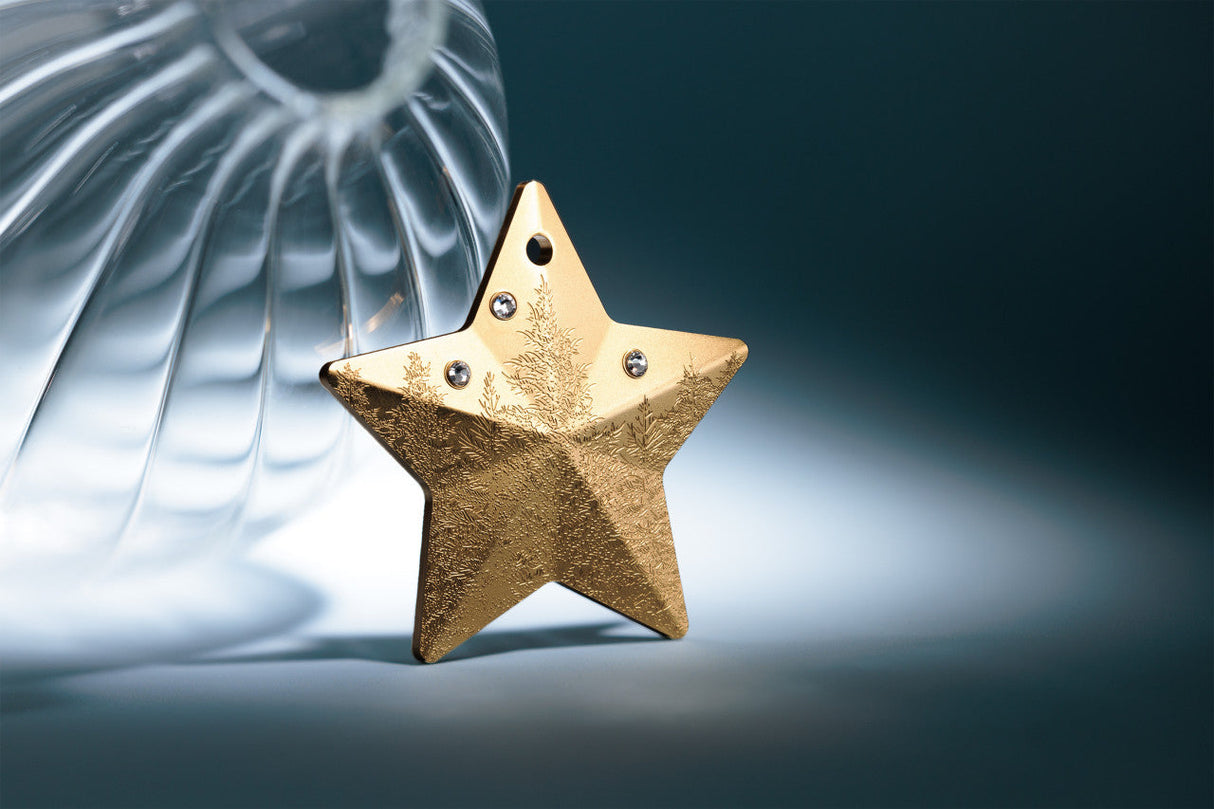 Winter Forest Star 2025 $5 Gold-plated 1oz Silver Coin