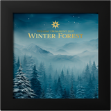 Winter Forest Star 2025 $5 Gold-plated 1oz Silver Coin