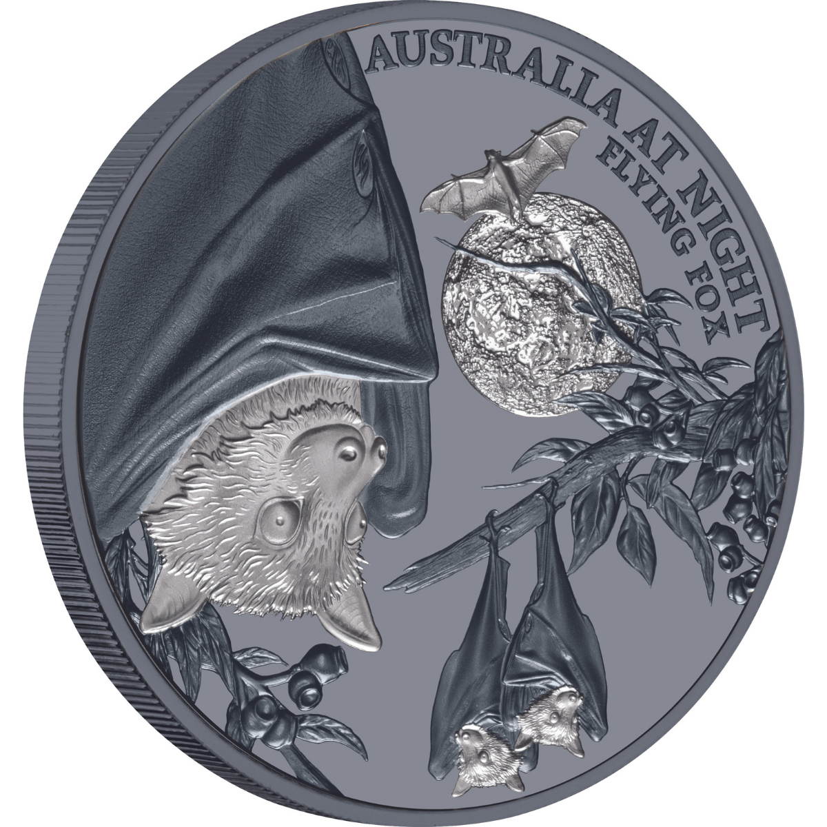 Australia at Night 2023 $1 Flying Fox 1oz Silver Black Proof Coin