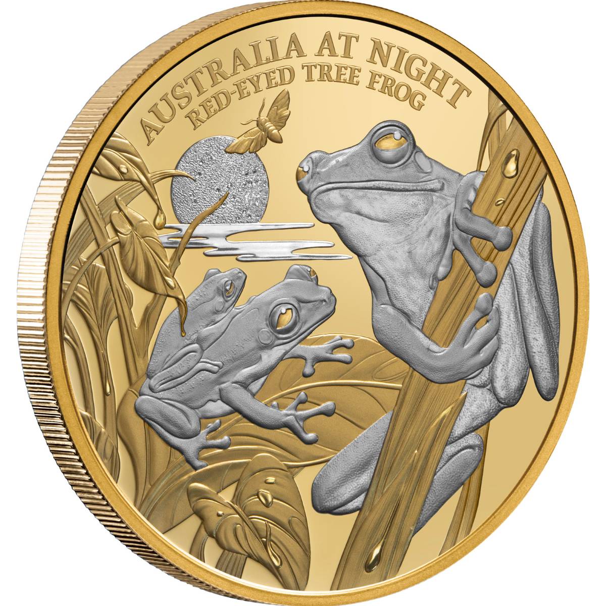 Australia at Night 2024 $100 Red-eyed Tree Frog Platinum-plated 1oz Gold Proof Coin