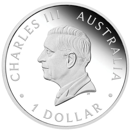 Happy Birthday 2024 $1 Colour 1oz Silver Proof Coin