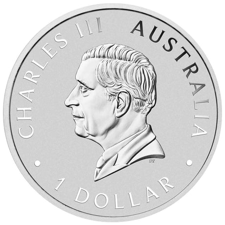 Australian Emu 2024 $1 Colour 1oz Silver Brilliant Uncirculated Coin