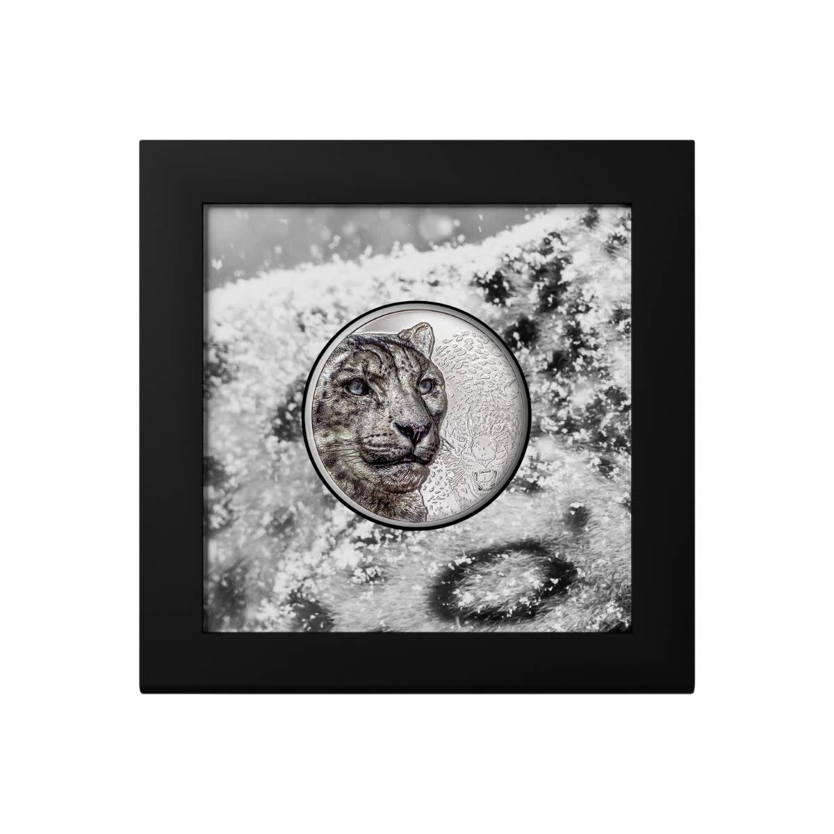 Wild Mongolia 2024 2,000T Snow Leopard Ultra High Relief 3oz Silver Proof Coin