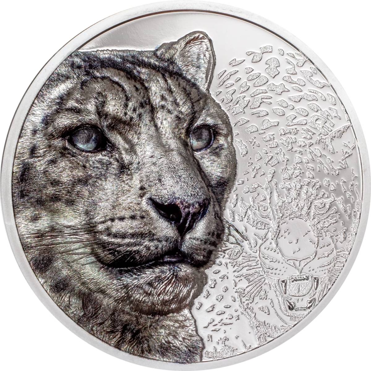 Wild Mongolia 2024 2,000T Snow Leopard Ultra High Relief 3oz Silver Proof Coin