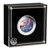 Australian Swan 2024 $1 1oz Coloured Silver Coin