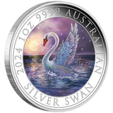 Australian Swan 2024 $1 1oz Coloured Silver Coin