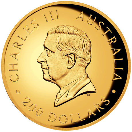 Australian Kangaroo 2024 $200 High Relief 2oz Gold Proof Coin