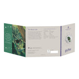 Great Britain Harry Potter The Black Lake 2024 50p Cupro-Nickel Brilliant Uncirculated Coin