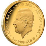 Australia at Night Bottlenose Dolphin 2025 $100 Platinum-plated 1oz Gold Proof Coin