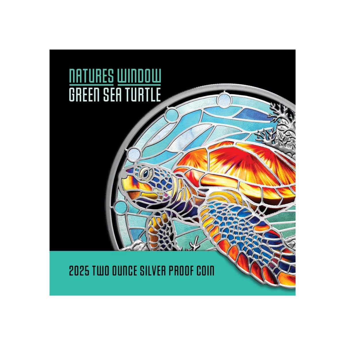 Nature’s Window Green Sea Turtle 2025 $5 Colour 2oz Silver Proof Coin