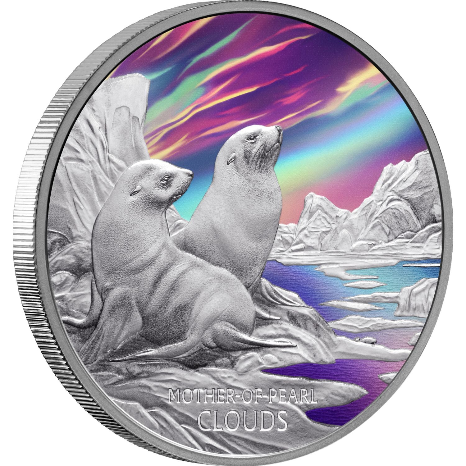 COIN PARKING DELIVERY 『Family vol.2』 Twokinds, Vol. 2: Volume 2 | Amazon.com.br