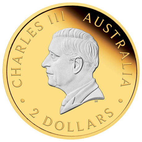Australia Kangaroo 2025 $2 Gold-plated 2oz Silver Proof Coin