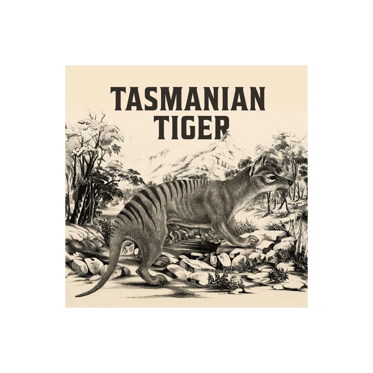 Tasmanian Tiger 2026 $100 1oz Gold Proof Coin