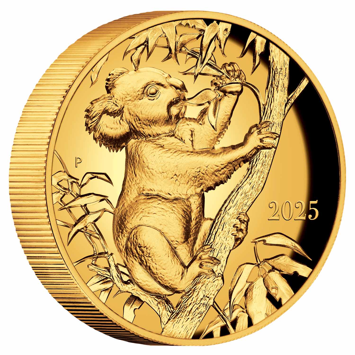 完売品【TIMELESS bijou】THEA/keikoさんコラボ/ゴールド 完売品【TIMELESS bijou】THEA/keikoさんコラボ/ゴールド