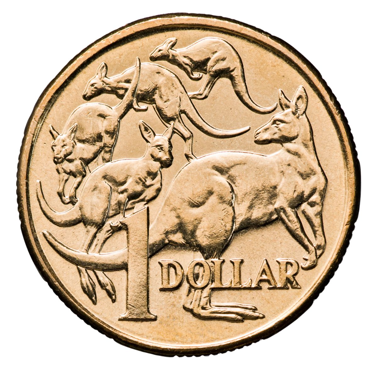 Australia 2004 $1 Aluminium-Bronze Uncirculated 20-Coin Heads/Tails Mint Roll