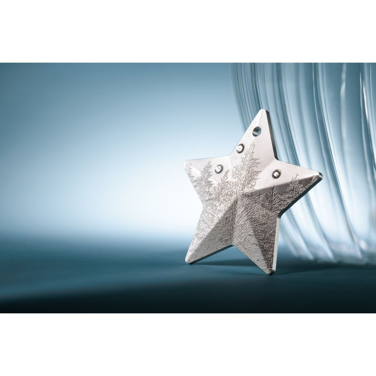 Winter Forest Star 2025 $5 Rhodium-plated 1oz Silver Coin