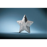 Winter Forest Star 2025 $5 Rhodium-plated 1oz Silver Coin