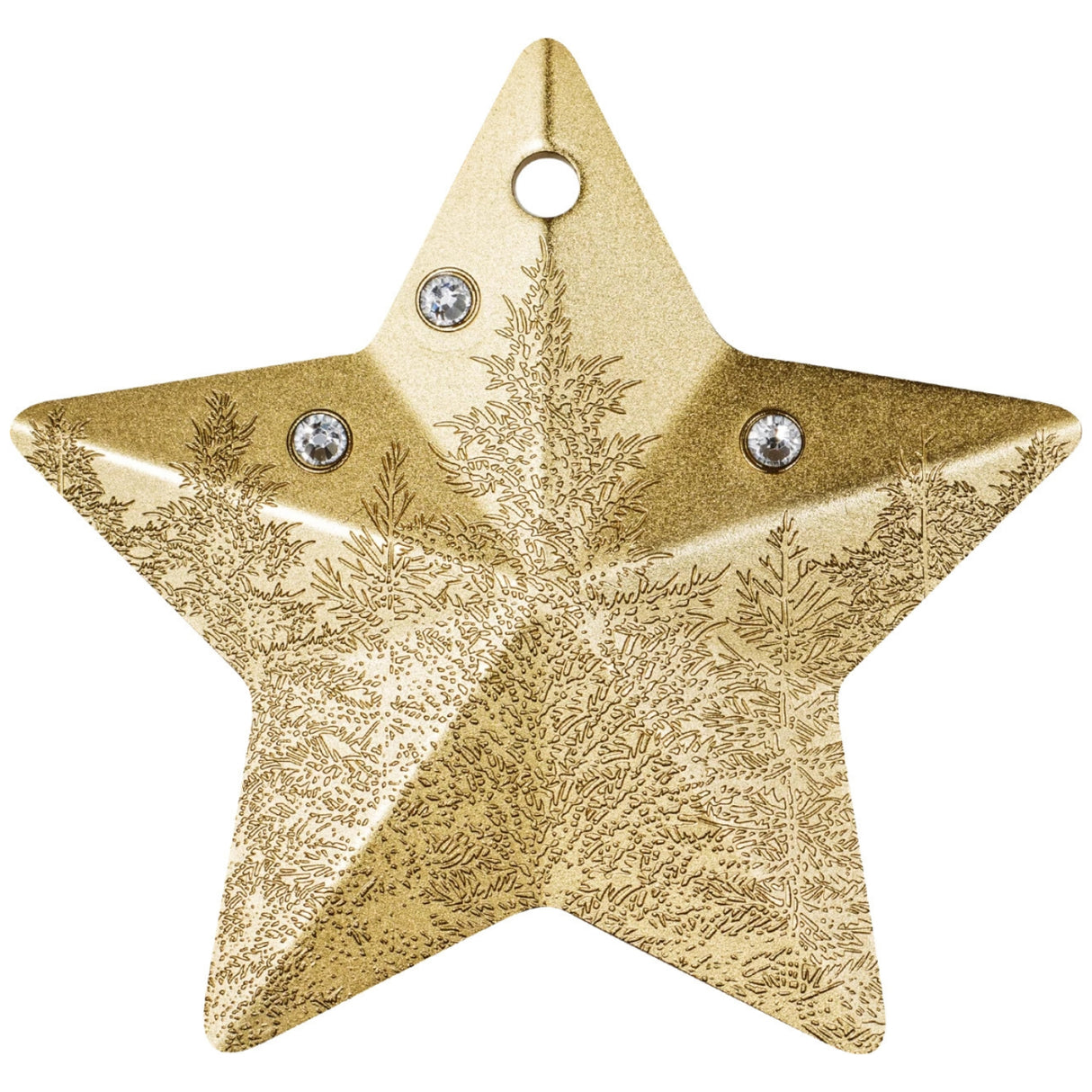 Winter Forest Star 2025 $5 Gold-plated 1oz Silver Coin