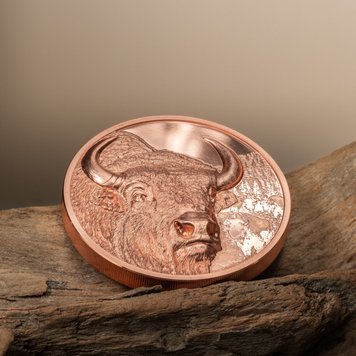 Wild Mongolia 2025 250T Bison Ultra High Relief Copper Proof Coin