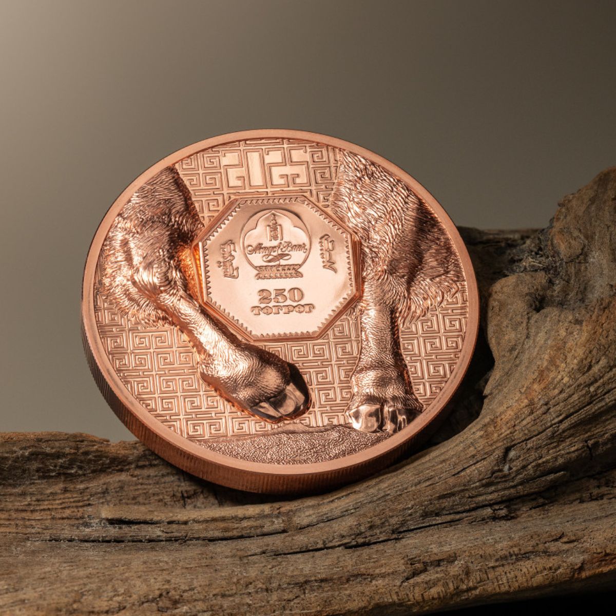 Wild Mongolia 2025 250T Bison Ultra High Relief Copper Proof Coin