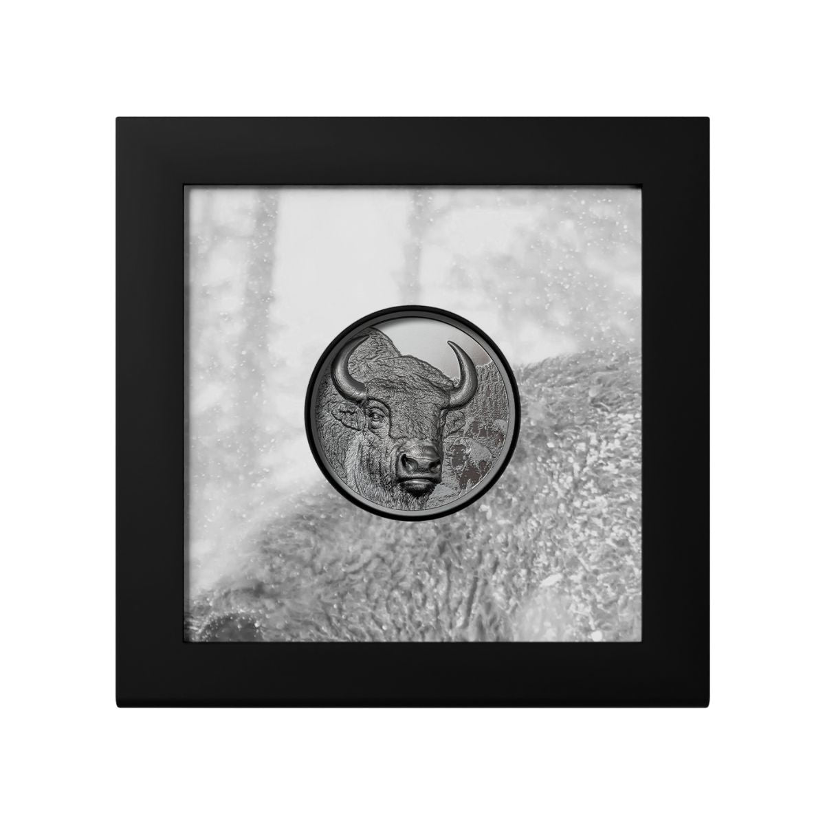 Wild Mongolia 2025 1000T Bison Ultra High Relief 2oz Silver Black Proof Coin