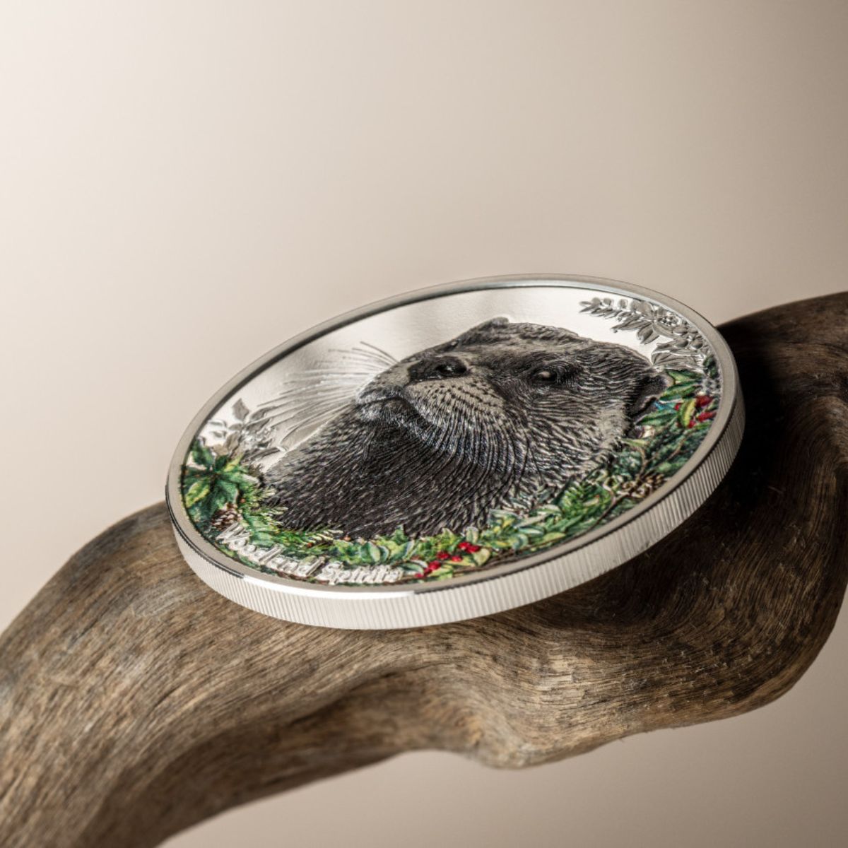 Woodland Spirits Otter 2025 500T 1oz Colour Silver Proof Coin