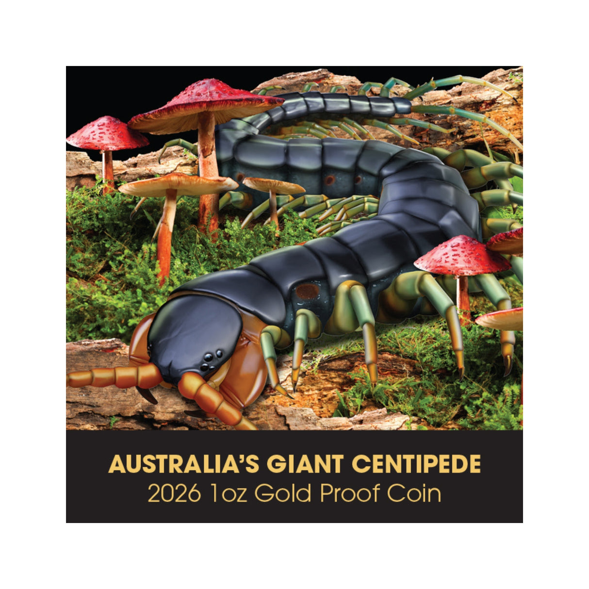 Deadly & Dangerous 2026 $100 Giant Centipede 1oz Gold Proof Coin