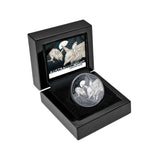 Australia at Night 2026 $1 Greater Bilby 1oz Silver Black Proof Coin